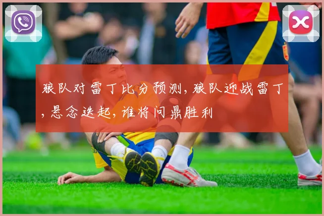 狼队对雷丁比分预测,狼队迎战雷丁,悬念迭起,谁将问鼎胜利