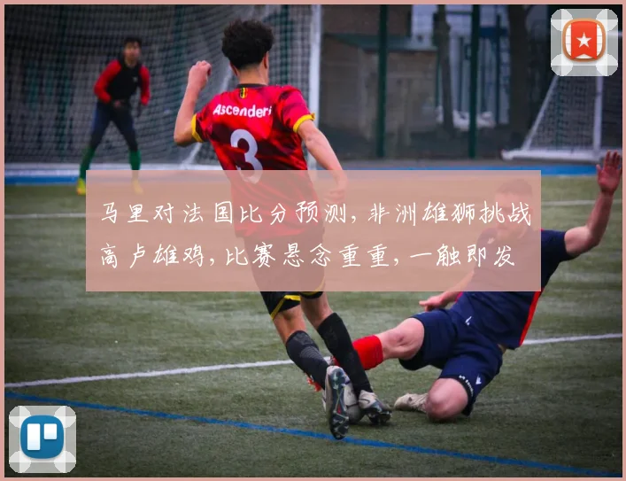马里对法国比分预测,非洲雄狮挑战高卢雄鸡,比赛悬念重重,一触即发